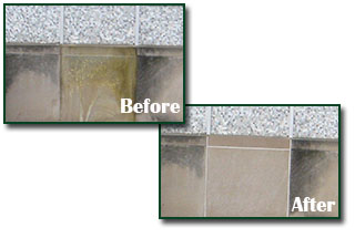 Masonry Cleaning on concrete, stone and brick buildings and structures.
